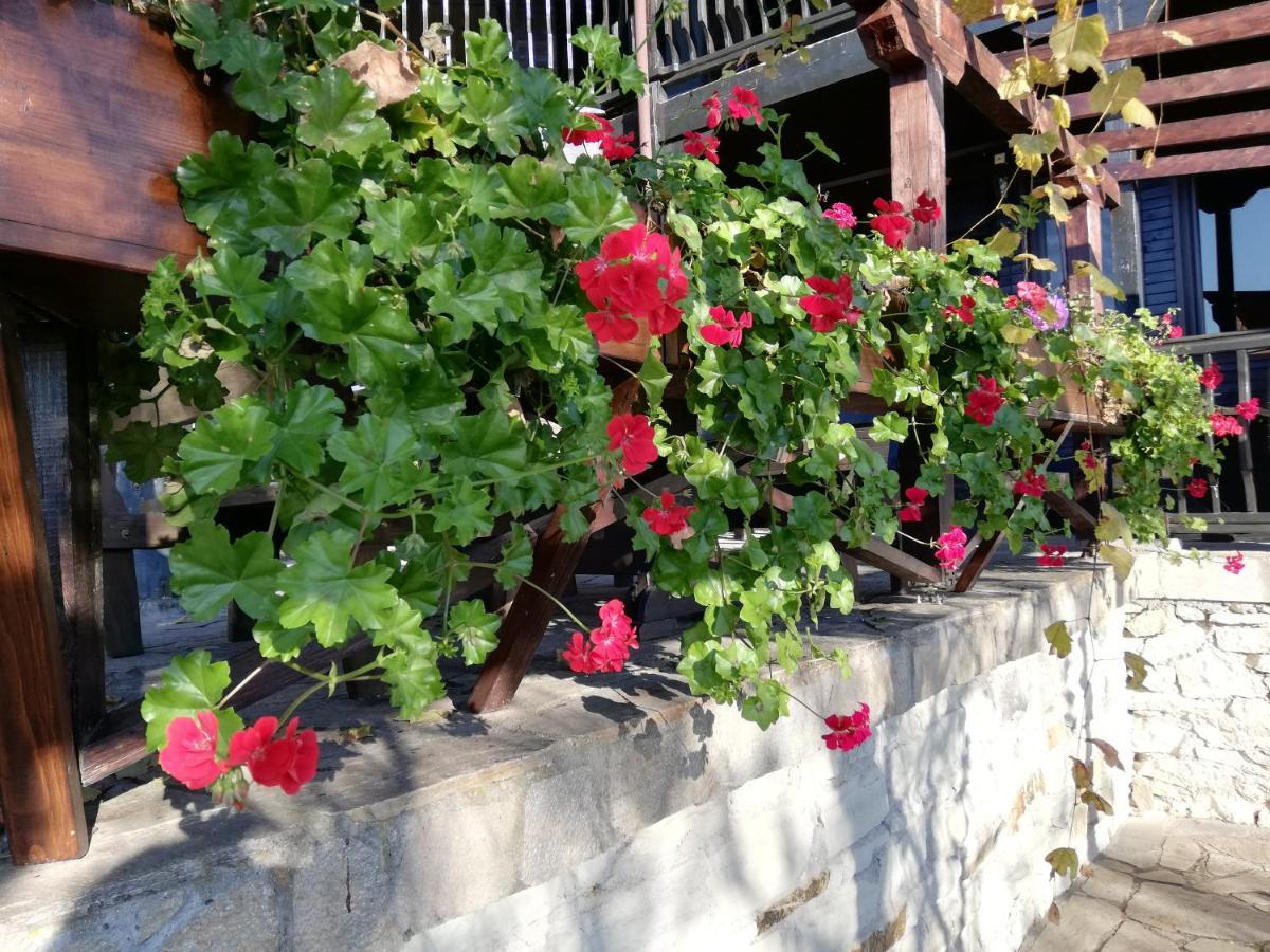 Trifon Zarezan Family Hotel Glavatartsi Buitenkant foto